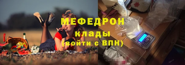 индика Балахна