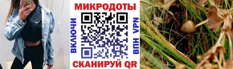 Галлюциногенные грибы Magic Shrooms как найти Светогорск